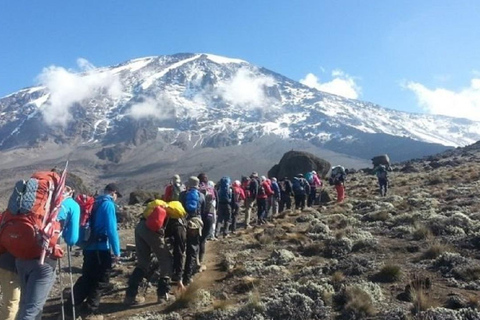 ERLEBE DIE 5-TÄGIGE TOUR AUF DEM KILIMANDSCHARO: MARANGU ROUTE5 TAGE KILIMANDSCHARO-WANDERUNG ERLEBEN: MARANGU-ROUTE