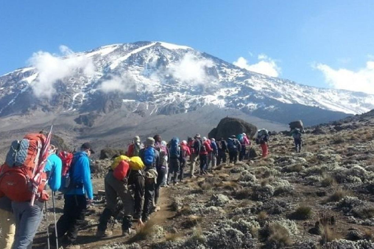 UPPLEV 5 DAGARS VANDRING PÅ KILIMANJARO: MARANGU-RUTTEN