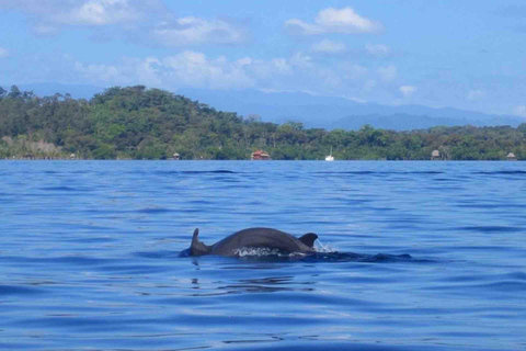 Zapatilla Island Hopping Day Tour