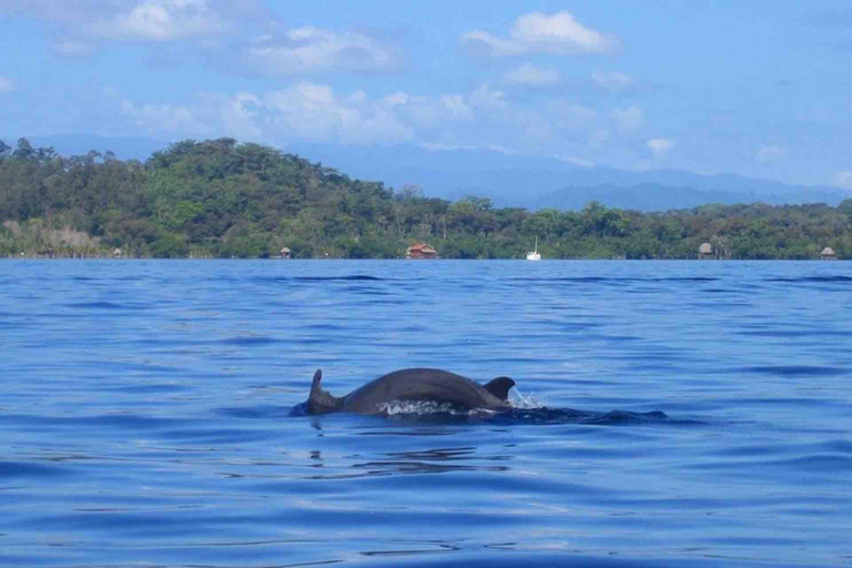 Excursão de um dia pelas ilhas de Zapatilla