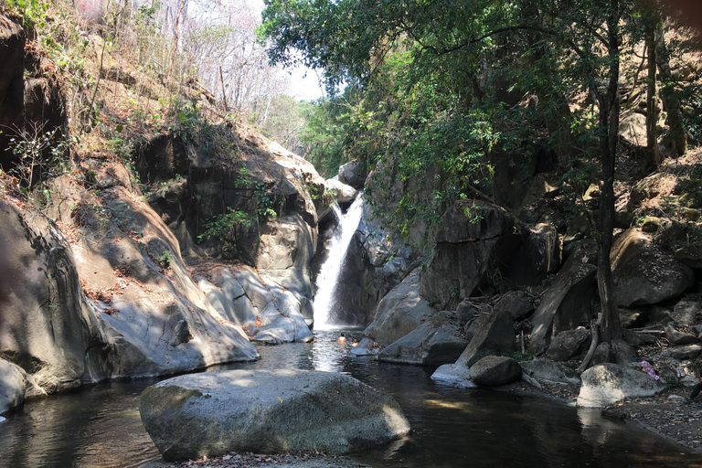 PASSEIO PELA FLORESTA DE CACAU