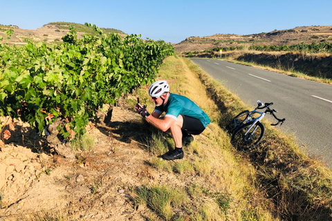 La Rioja : visite guidée à véloRoute des vins de Haro