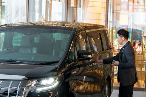 Cape Town: Private full day Chauffeur Service