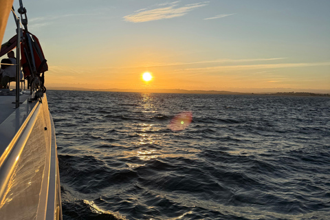 Luxury Catamaran Cruise Along Algarve Coast Half-day Luxury Catamaran Experience - Portimão