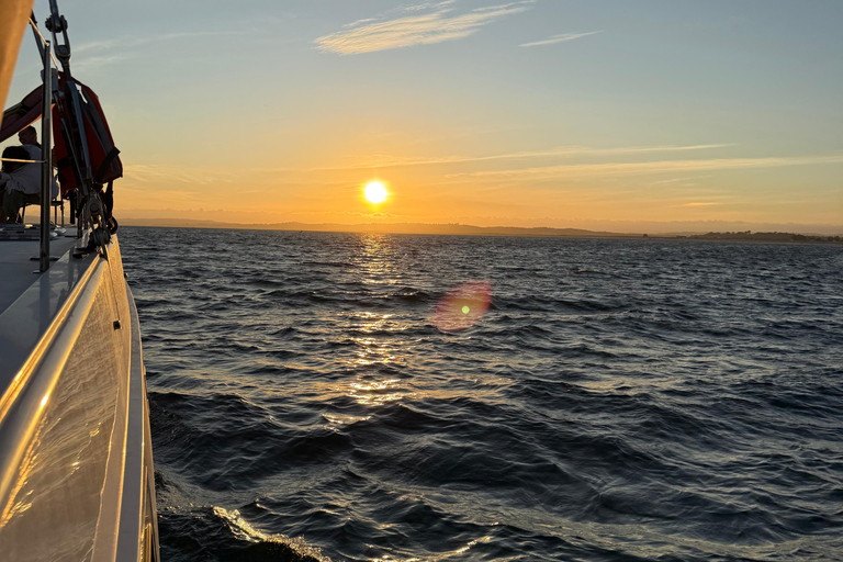 Luxury Catamaran Cruise Along Algarve Coast Half-day Luxury Catamaran Experience - Portimão