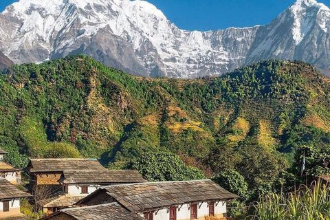 Pokhara: Easy 5-Day Annapurna Base Camp Trek