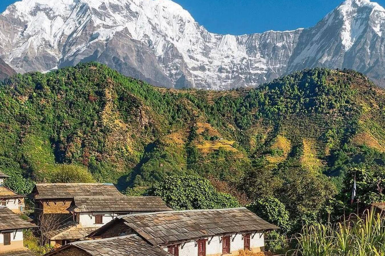 Pokhara: Easy 5-Day Annapurna Base Camp Trek