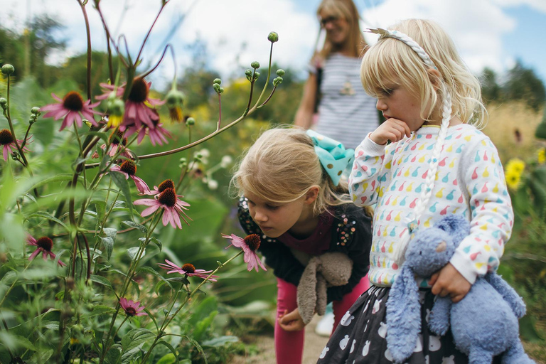 Oxford: toegangsbewijs botanische tuin