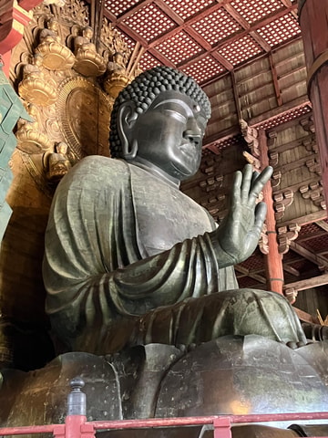 Discover Nara with a Government-Licensed Guide
