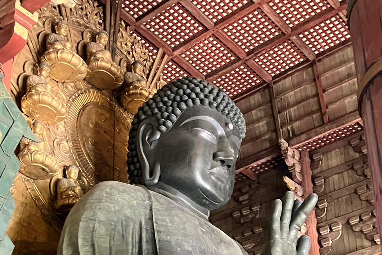 Nara Small Group Tour: Temples & Deer with a Licensed Guide Nara Walking Tour for Small Groups: Temples and Deer