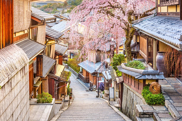 Kyoto/Osaka: Kyoto and Nara World Heritage Day Tour Trip from Kyoto Station 9:50AM