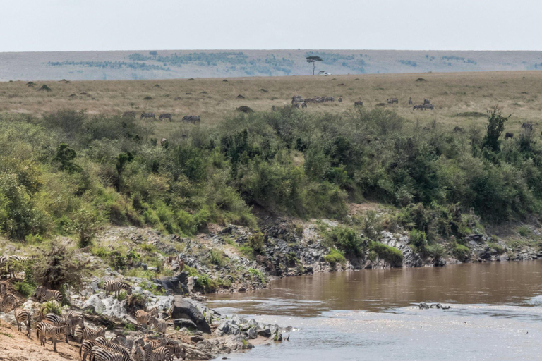 El mejor paquete de safari de 8 días por la vida salvaje de Tanzania