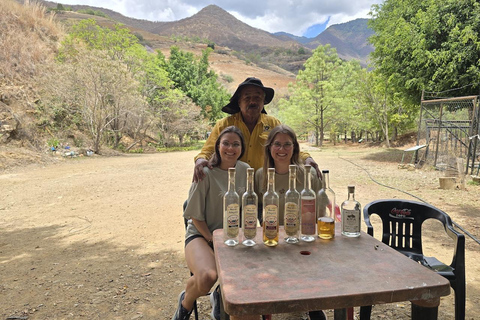 Oaxaca: Wild Agave Mountain Hike with Trail-Side Tasting