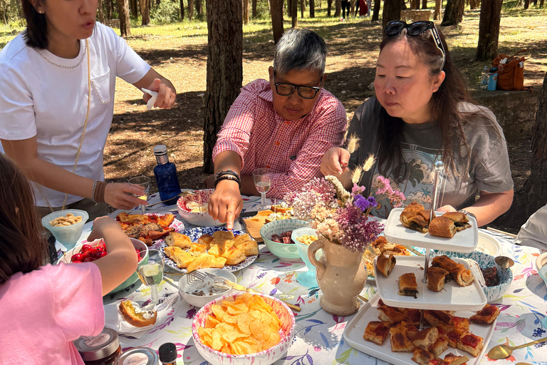 Trüffelsuche mit Verkostung in der Alta Murgia