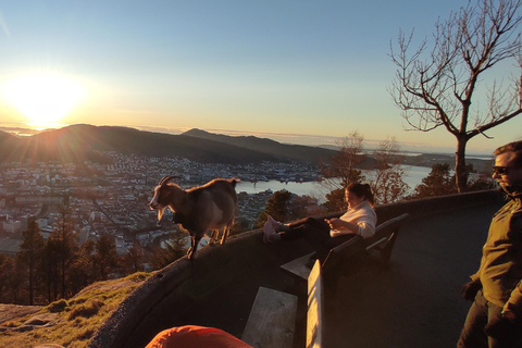 Private hiking tour Bergen mountains like a local