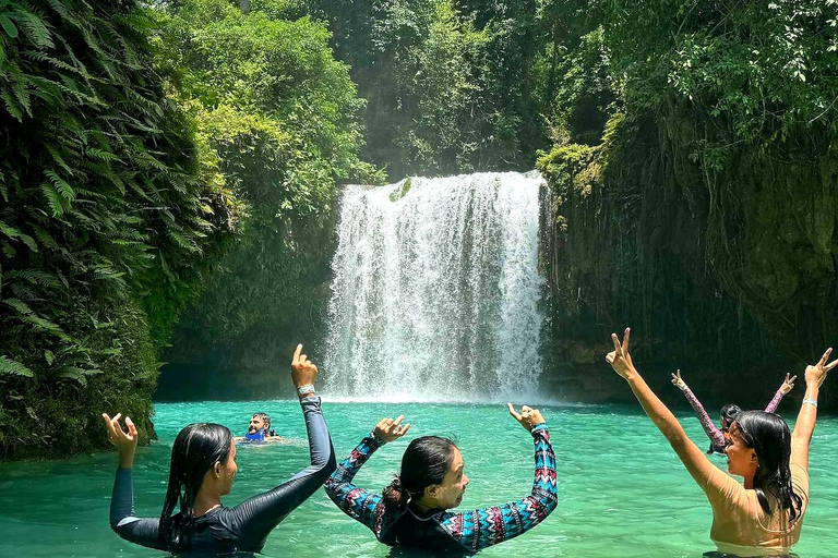 Cebu: Whale Shark Swimming and Kawasan Falls Canyoneering