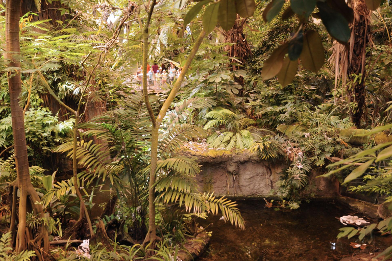 Skip-the-line Montreal Biodome Private Tour with Tickets 2-hour: Montreal Biodome Tour