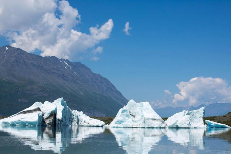 Seward: Heli Tour & Glacier Dogsled with 2 Glacier Landings