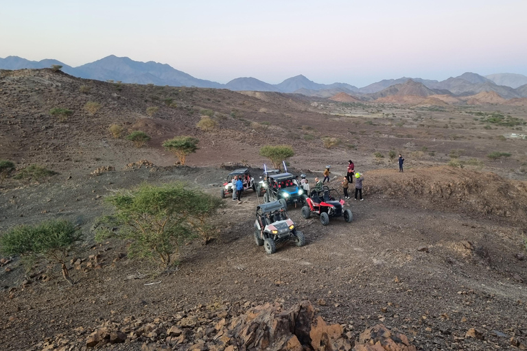 Z Muscat 1 godzina: Przygoda ATV z własnym napędem w Wadi Al RakWadi Al Rak Adventure: Odkryj naturę Omanu na quadzie