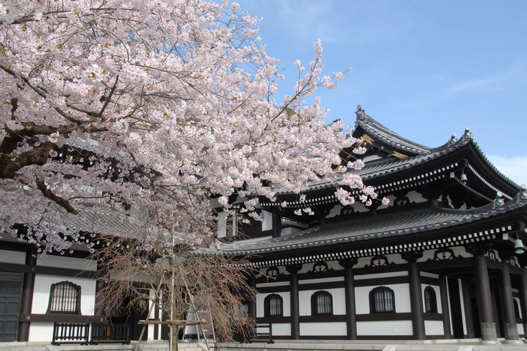 From Tokyo : Kamakura & Enoshima Island Private Day Trip