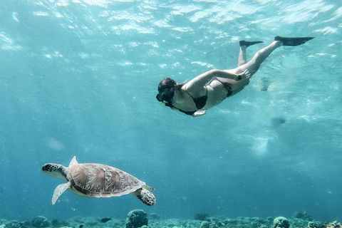 Au départ de Bali : Excursion privée de plongée en apnée aux îles GiliVisite privée de 4 heures de plongée en apnée avec GoPro (lieu de rendez-vous)