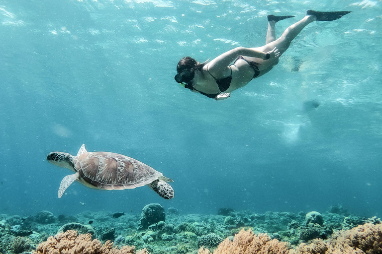 Au départ de Bali : Excursion privée de plongée en apnée aux îles GiliVisite privée de 4 heures de plongée en apnée avec GoPro (lieu de rendez-vous)