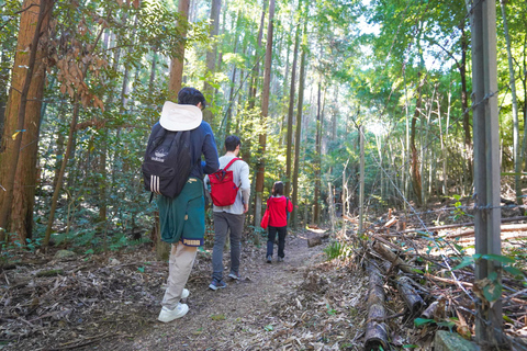 Kioto: tour de senderismo oculto de 3 horas por el santuario Fushimi Inari