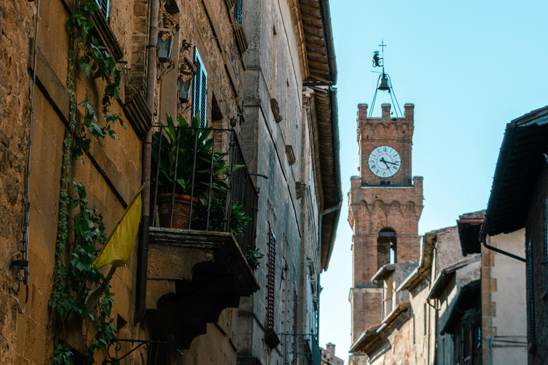 Au départ de Florence : Pise, San Gimignano et Sienne visite privée