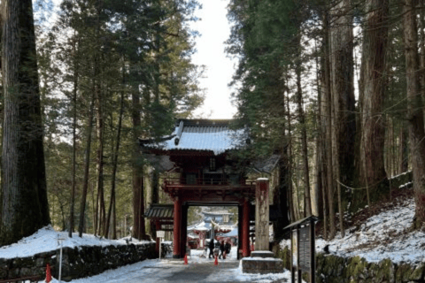 Tokyo: Customised Unmissable Nikko Unesco Private Day Tour