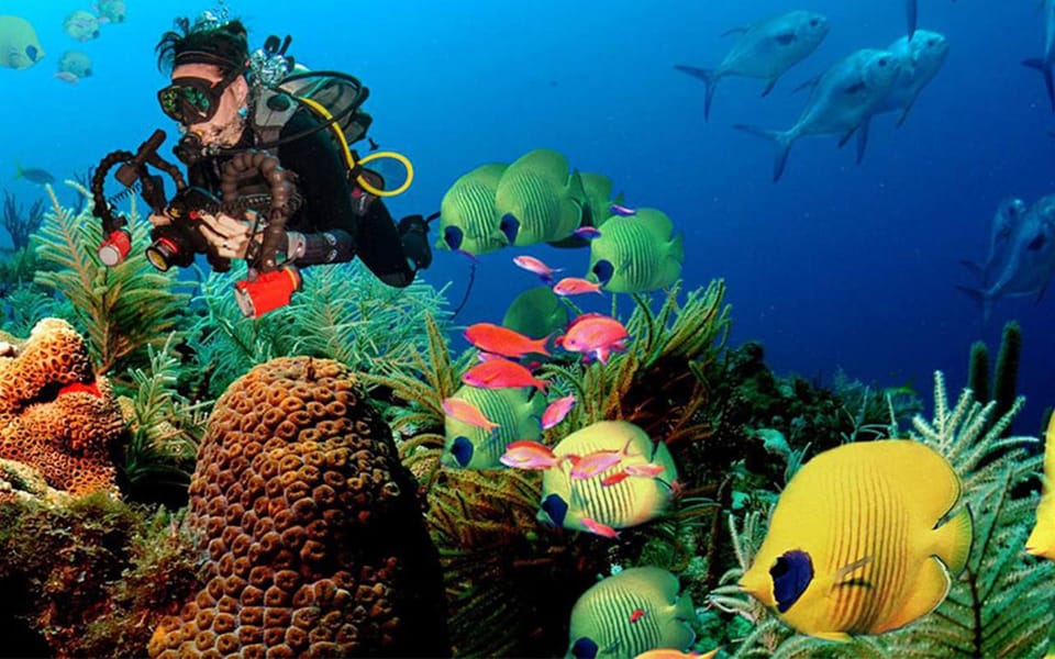 Excursión de snorkel desde la playa de Polhena, Matara, Sri Lanka