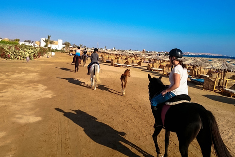 From Hurghada: Makadi Bay Horse Riding Tour