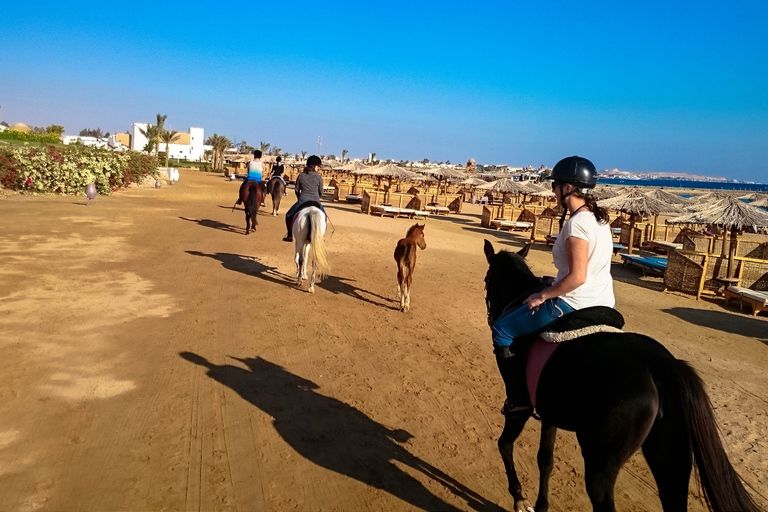 Desde Hurghada: Excursión a Caballo por la Bahía de Makadi