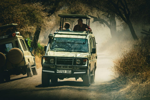 Tanzania: 9-dagars safari med bästa boende