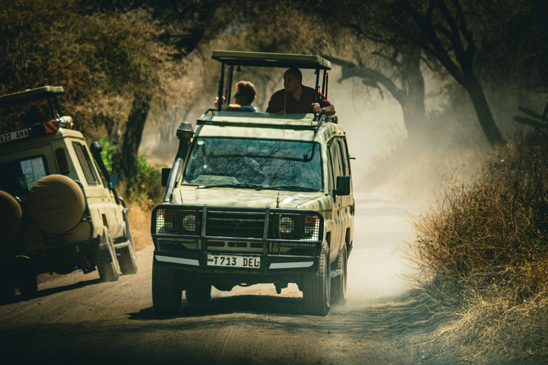 Tanzania: Safari di 9 giorni con le migliori sistemazioni