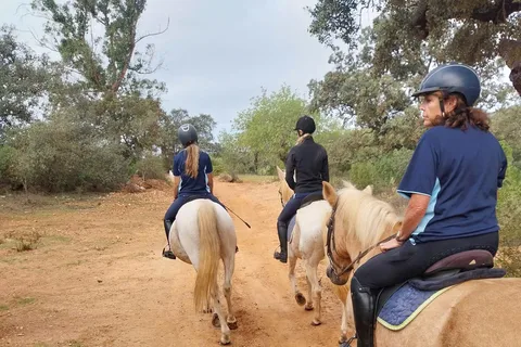 Loulé: Guided Horse Riding in the Hills of Tor
