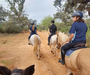 Loulé: Guided Horse Riding in the Hills of Tor