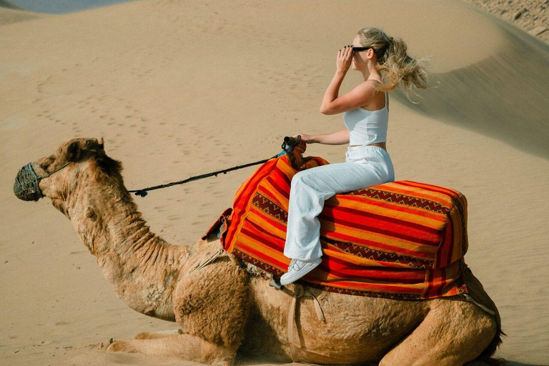 Expérience dans le désert de Timlalin au coucher du soleil, balade à dos de chameau et spectacle de feuExpérience au coucher du soleil dans le désert de Timlalin, balade à do