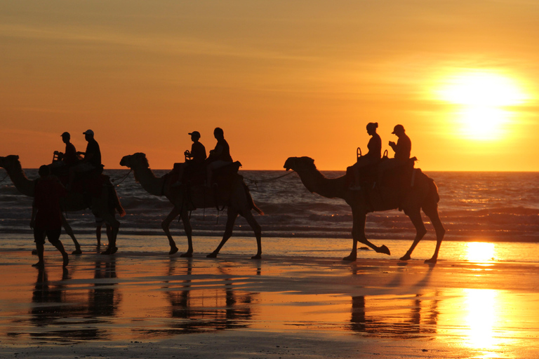 Perth to Broome 10-Day Tour via Ningaloo & Karijini