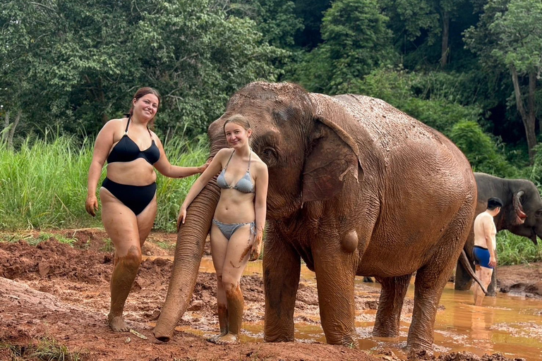 Chiang Mai: Excursión a Doi Inthanon y Santuario de ElefantesServicio de recogida del hotel