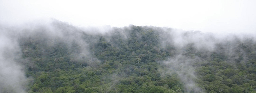 Sierra Leone : Visite guidée du parc national de la forêt tropicale de Gola