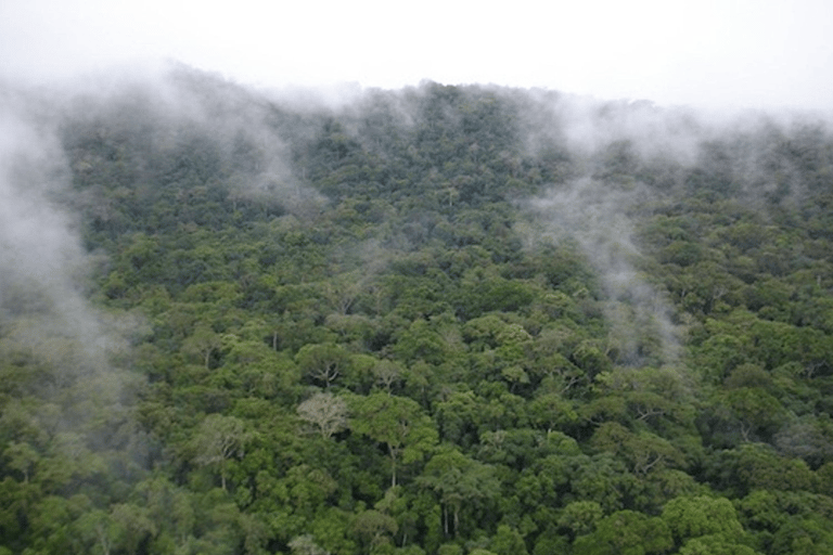 Sierra Leone: Guidad tur i Gola Rainforest National Park