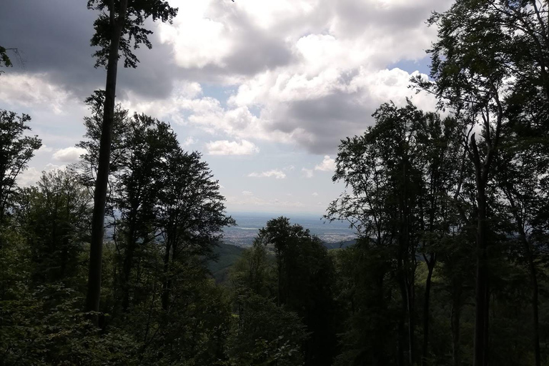 Zagreb: Guided Hike in Medvednica Nature Park
