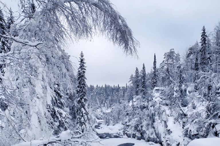 Rovaniemi: Auttiköngäs Winter Wilderness Hike & BBQ Auttiköngäs Winter Wilderness Hike & BBQ - Small Group