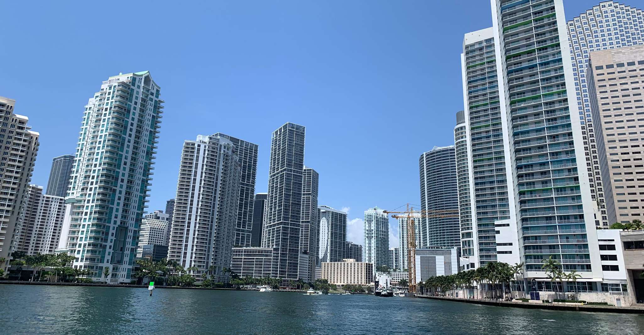 Miami Skyline Cruise of Millionaire Homes photo 7