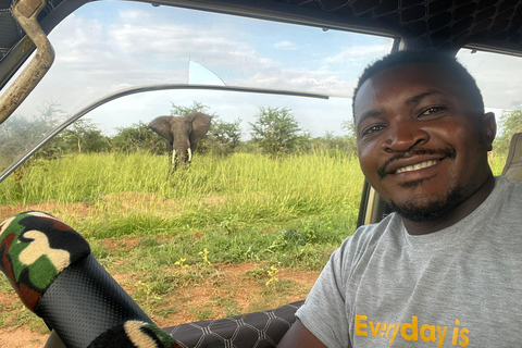 Kampala: 2-Day Best of Uganda Murchison Falls Safari Tour