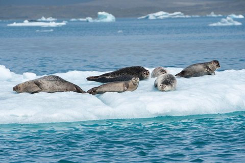 Iceland’s Iconic Landmarks: A 5-Day Ring Road AdventureWith Optional Extras