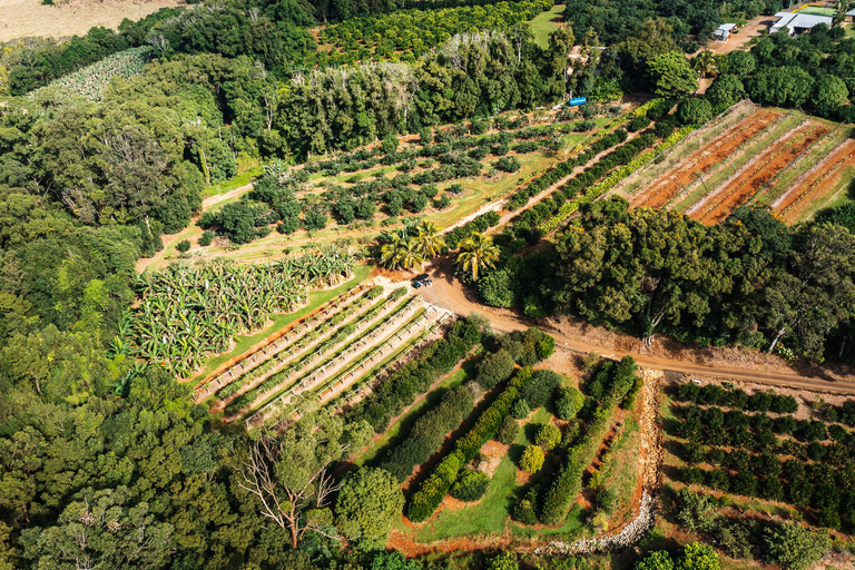 Gold Coast: Tropical Fruit World Tractor Train Tour