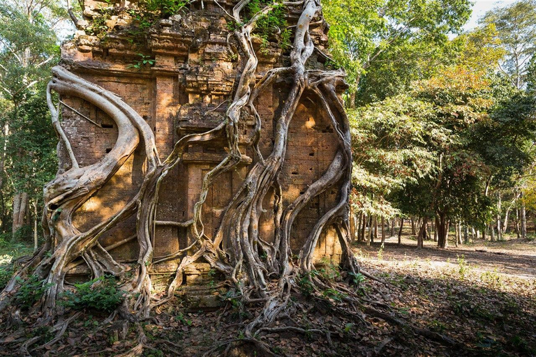 Viagem de 1 dia para Sambor Preikuk, Kuhak Nokor e Spider Market