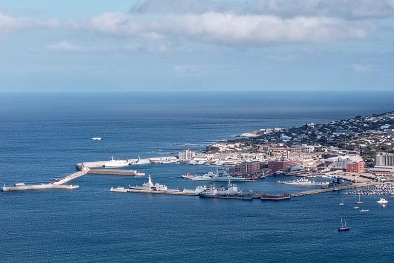 Cape town:Cape of good hope afternoon tour/penguins