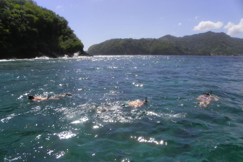 Pequeño Tobago: Tour en barco con fondo de cristal